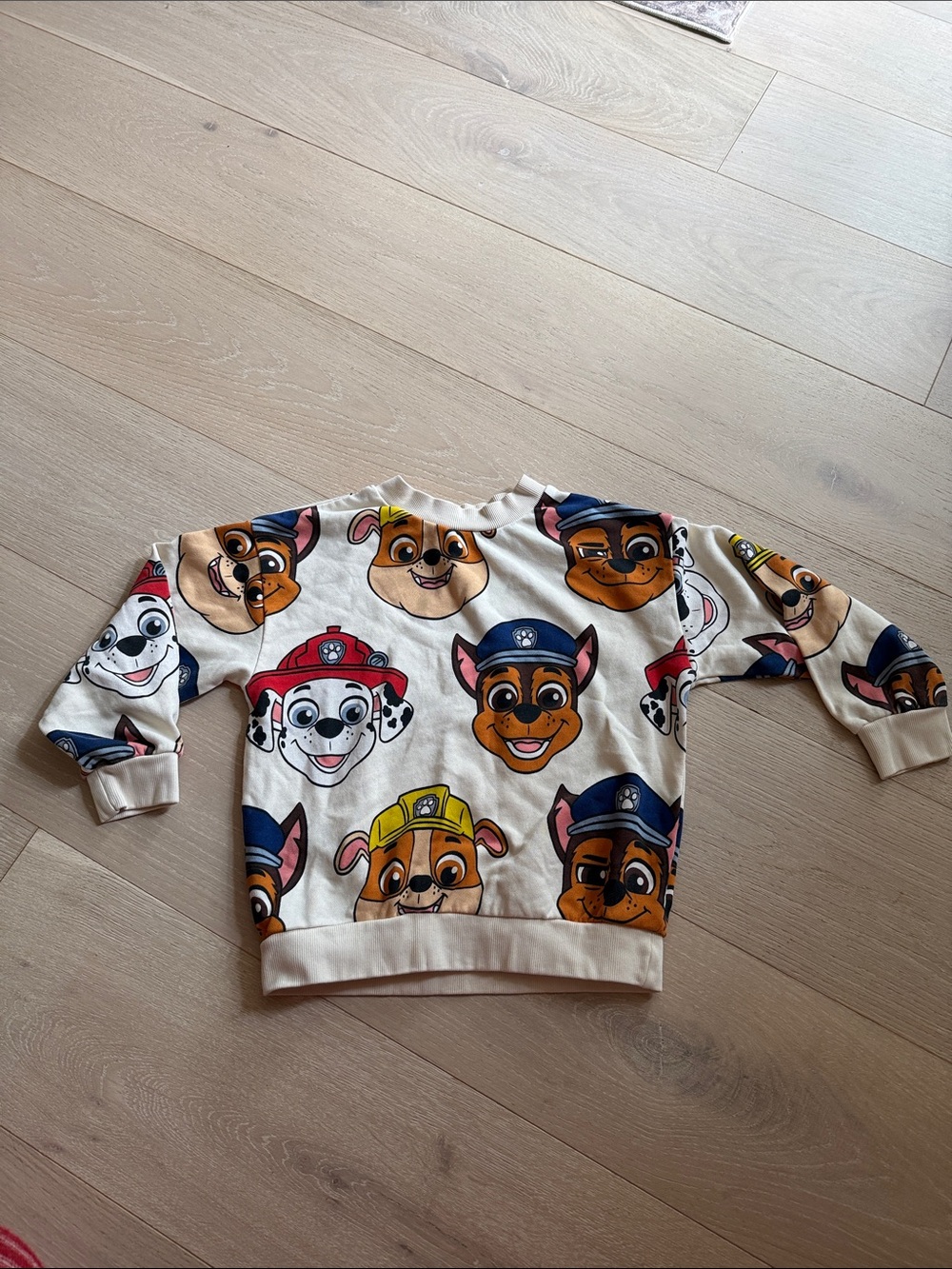 Paw patrol sweatshirt